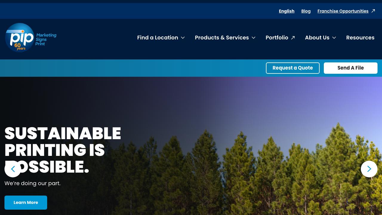 Car Graphics and Wraps