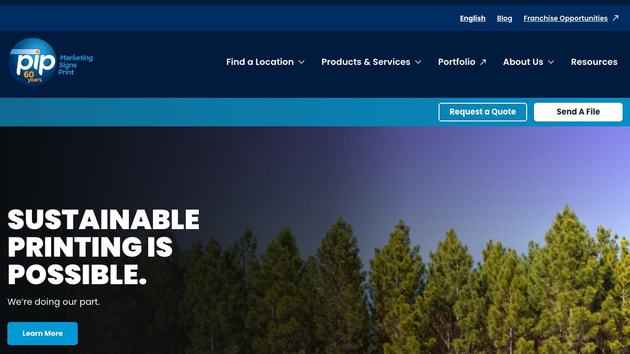 Car Graphics and Wraps