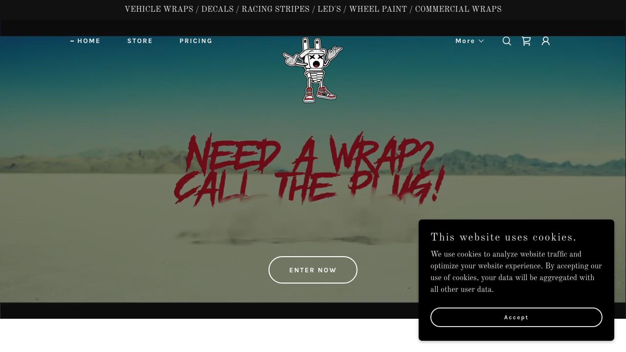 The Plug Auto Styling